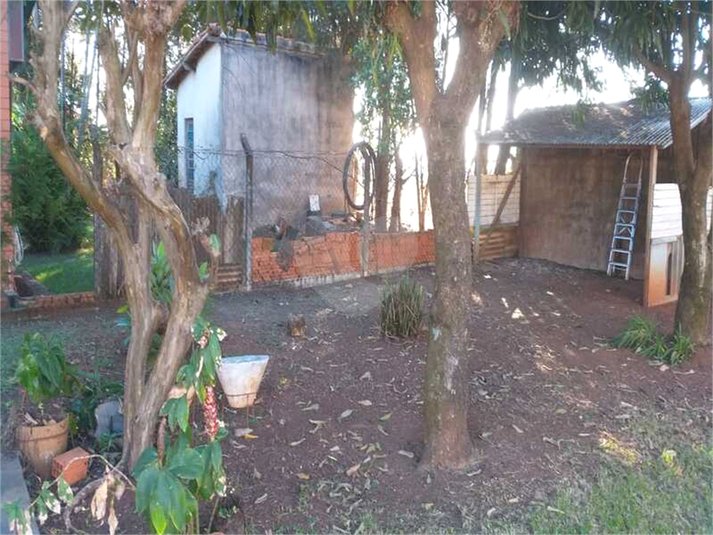 Foto REO1123942