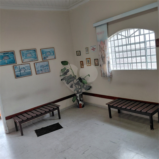 Foto REO1123953