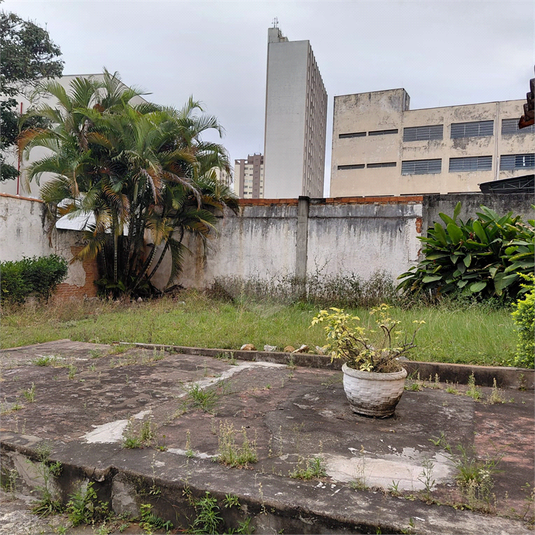Foto REO1123953