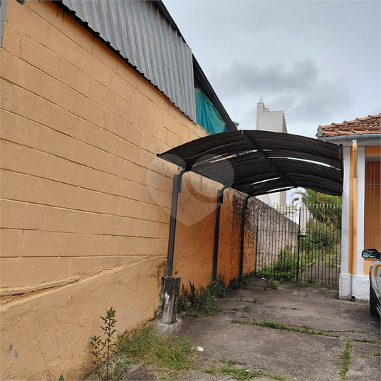 Foto REO1123953