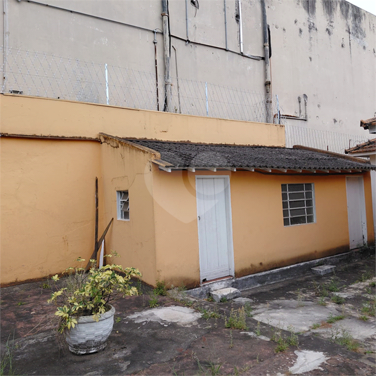 Foto REO1123953