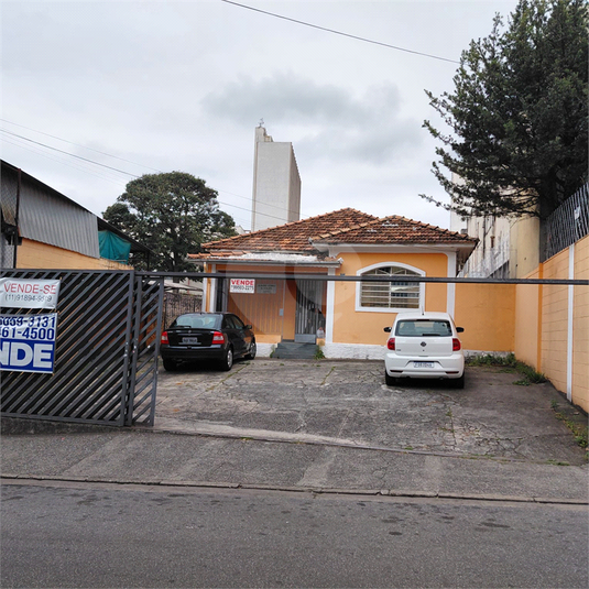 Foto REO1123953