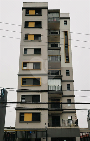 Foto REO1123960