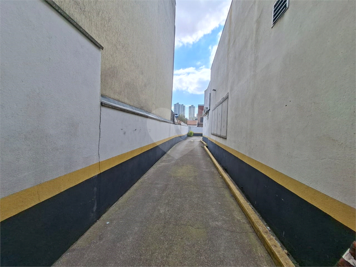 Foto REO1123961