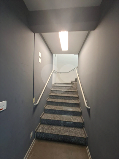 Foto REO1123961