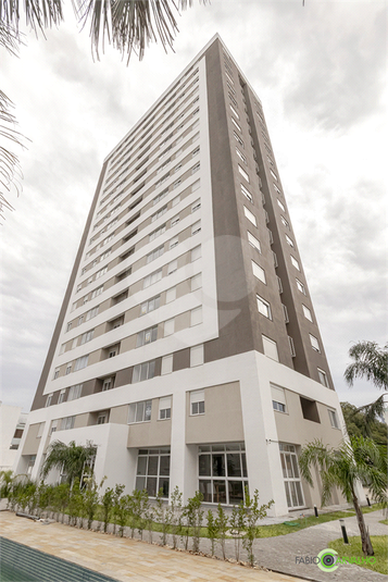 Foto REO1123967