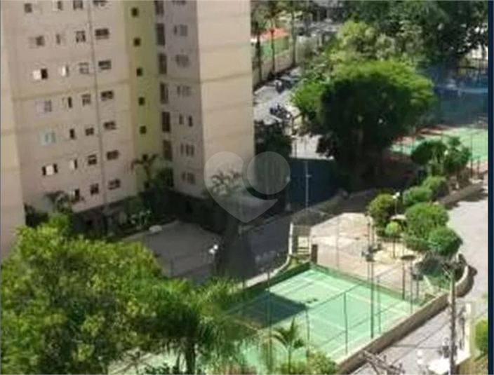 Foto REO1123969