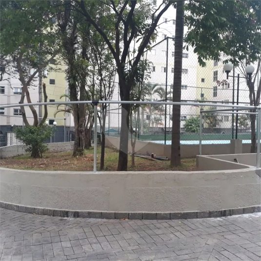 Foto REO1123969