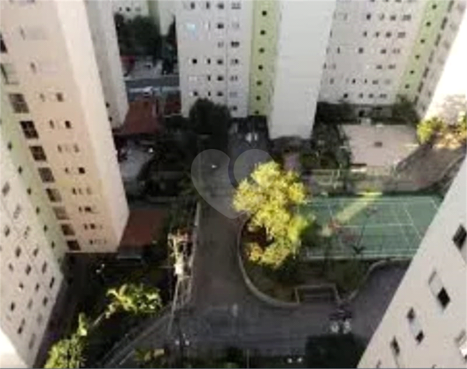 Foto REO1123969