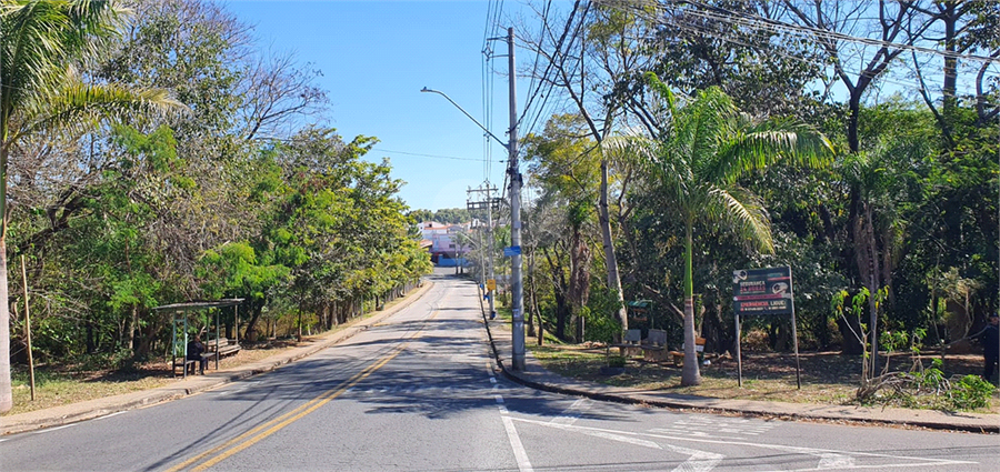 Foto REO1123971