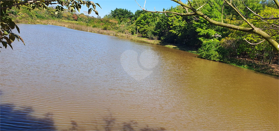 Foto REO1123971