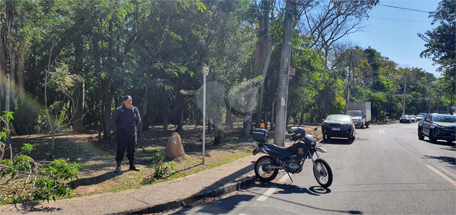 Foto REO1123971