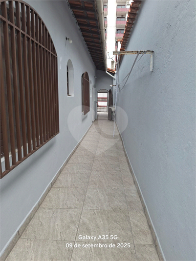 Foto REO1123978