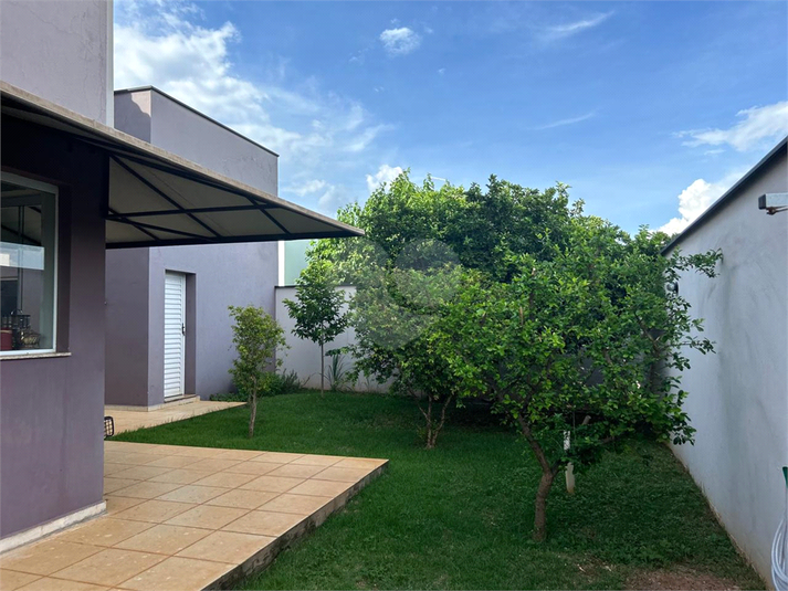 Foto REO1123982