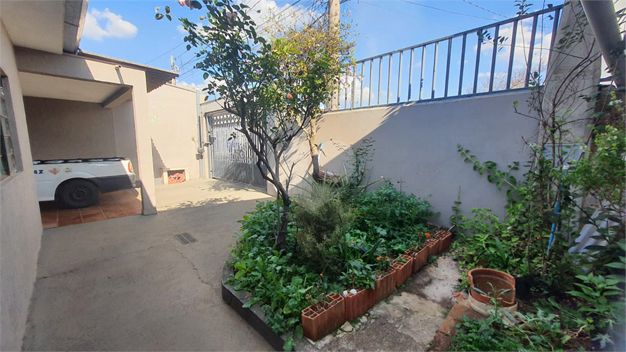 Foto REO1123985