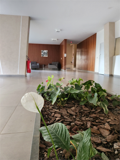 Foto REO1123987