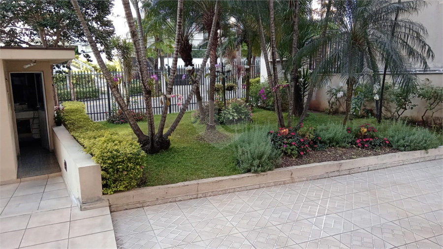 Foto REO1123994