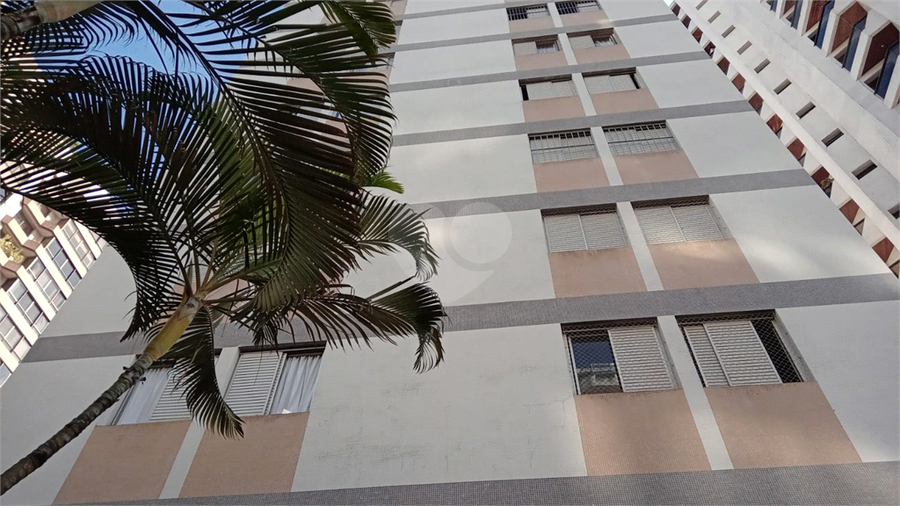 Foto REO1123994