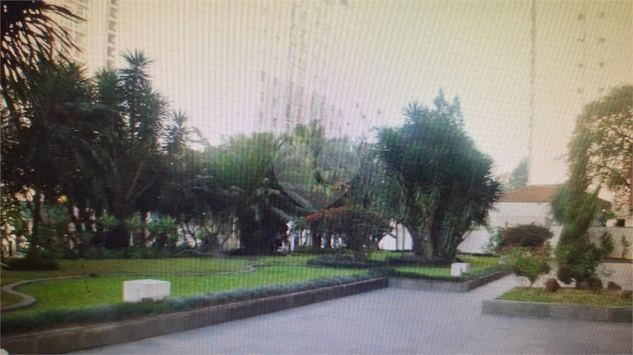 Foto REO1124003