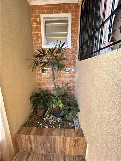 Foto REO1124019