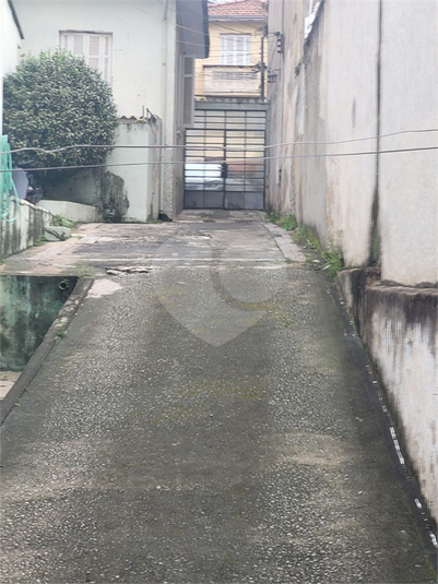 Foto REO1124021