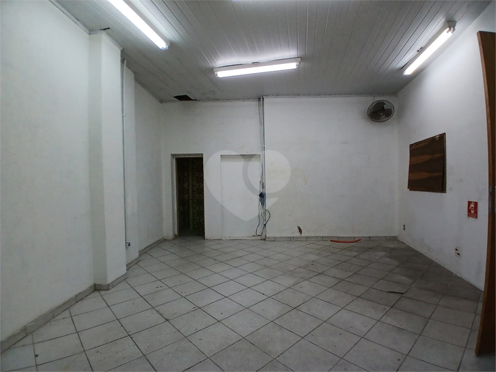 Foto REO1124039
