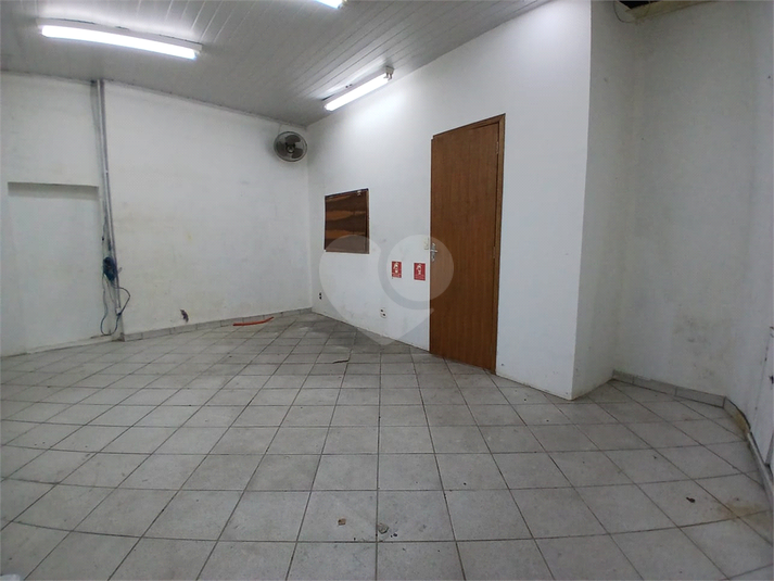 Foto REO1124039