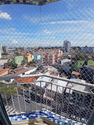 Foto REO1124049
