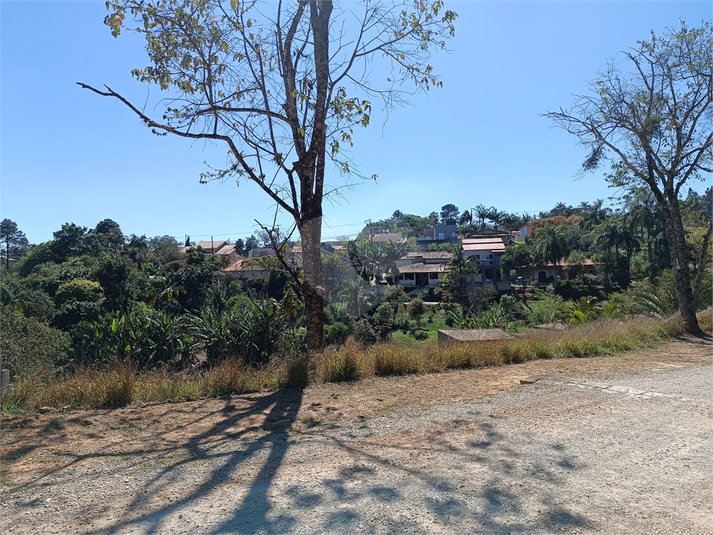 Foto REO1124055
