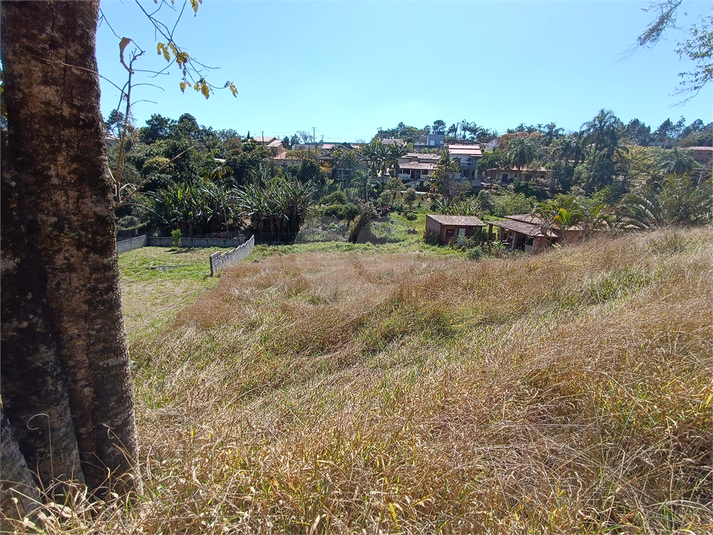 Foto REO1124055