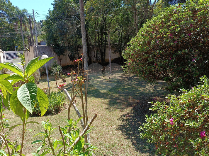 Foto REO1124062
