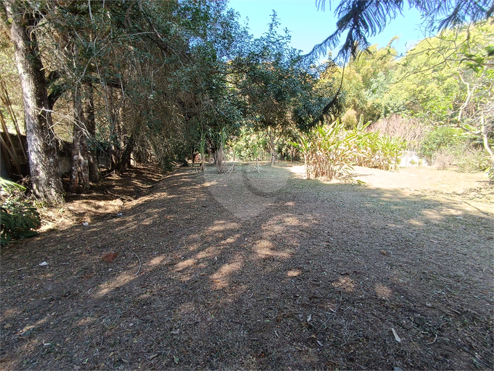 Foto REO1124062