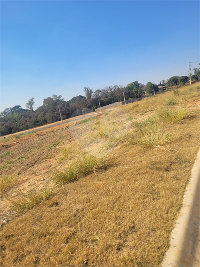 Foto REO1124065