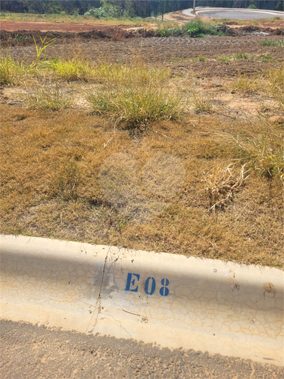 Foto REO1124065