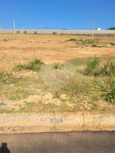 Foto REO1124067
