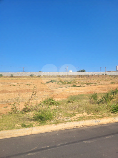Foto REO1124067