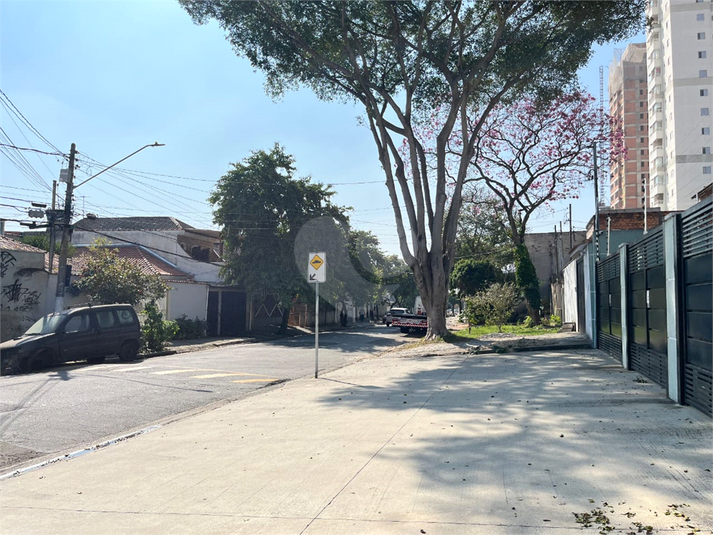 Foto REO1124069