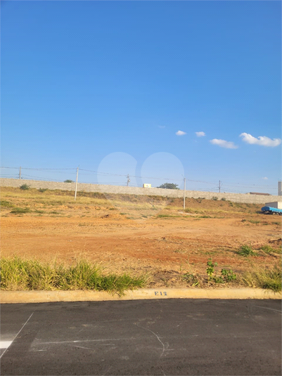 Foto REO1124072