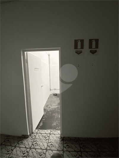 Foto REO1124074