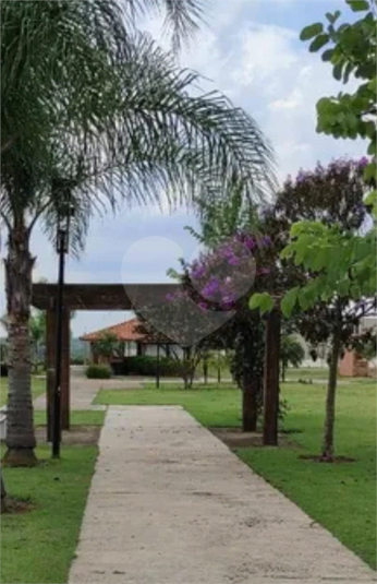 Foto REO1124075