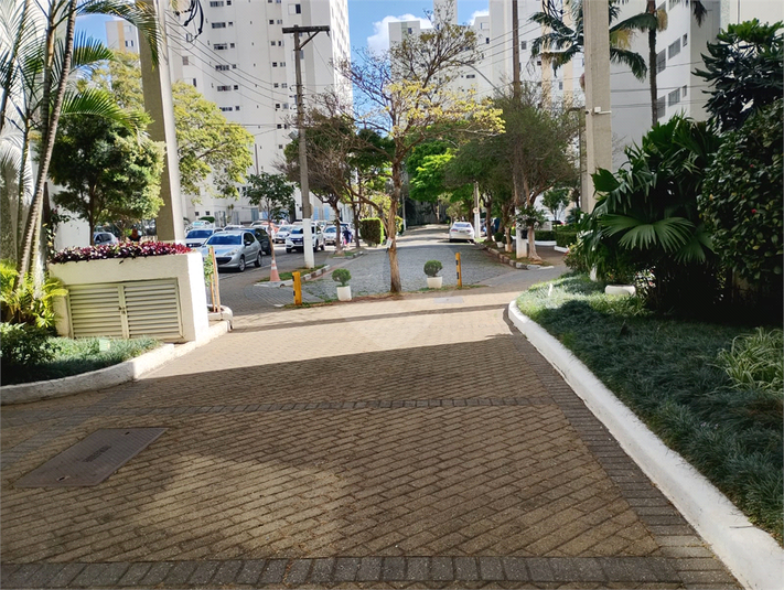 Foto REO1124090