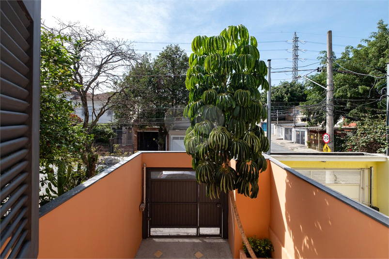 Foto REO1124092