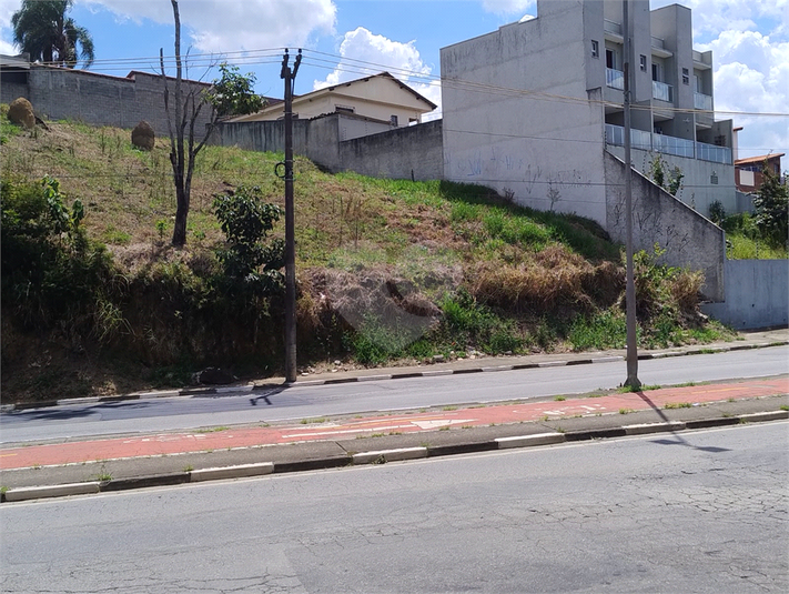 Foto REO1124106