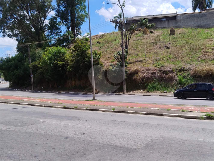 Foto REO1124106
