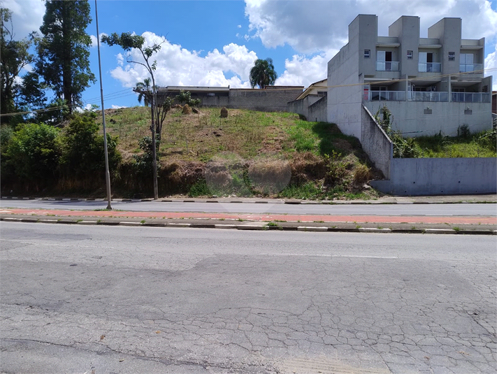 Foto REO1124106