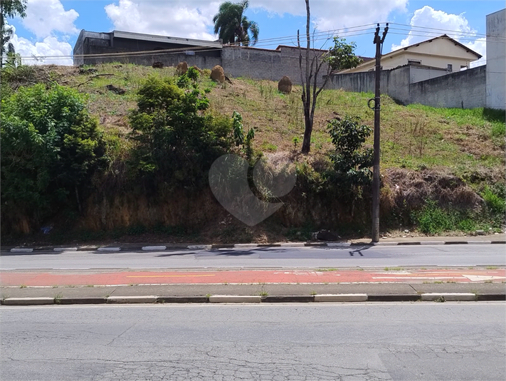 Foto REO1124106