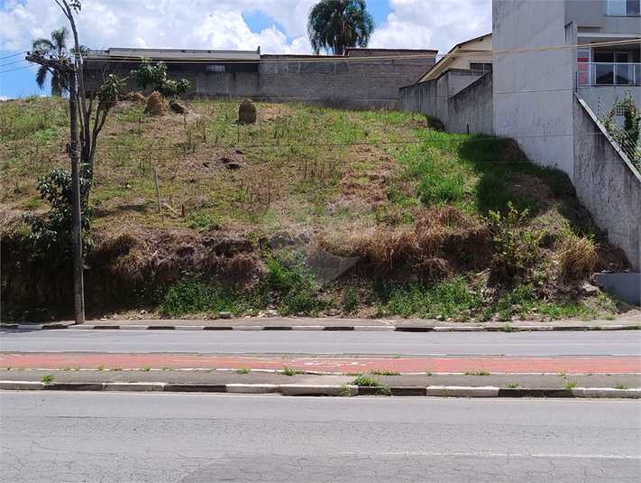 Foto REO1124106