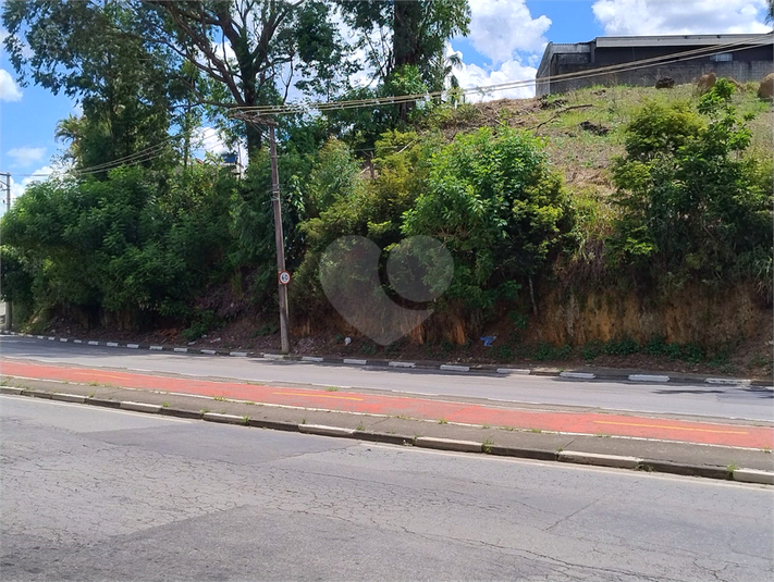 Foto REO1124106