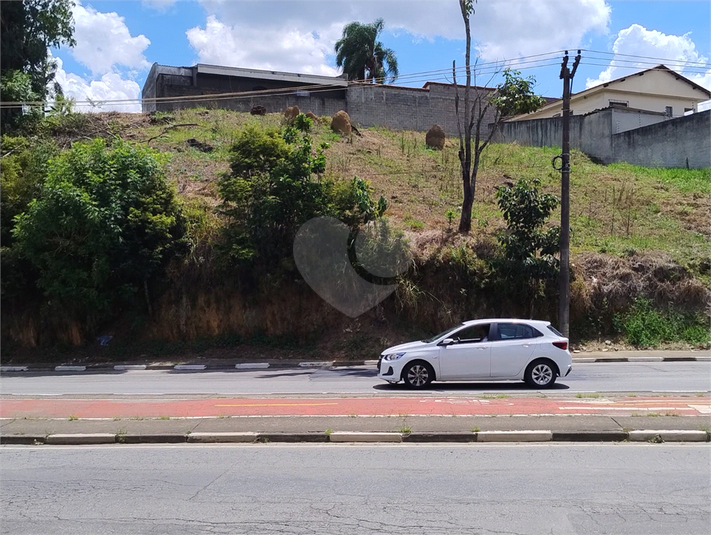 Foto REO1124106