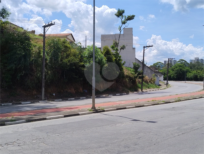 Foto REO1124106